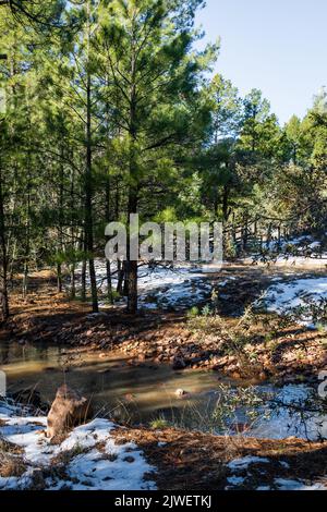 Un ruisseau de neige fondue en courant sur le site de loisirs Timber Camp, Tonto National Forest, Arizona, États-Unis. Banque D'Images