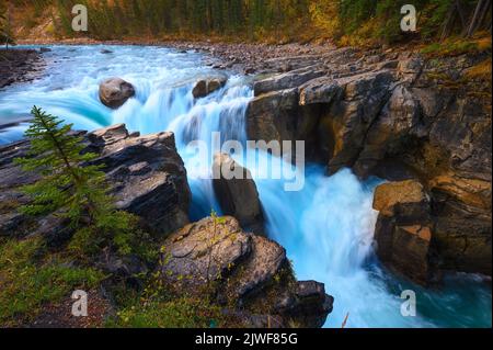 Chutes Sunwapta en automne, parc national Jasper, Canada Banque D'Images