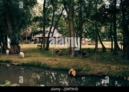 Vivre dans une ville calme, de Lier, juin 2019 Banque D'Images