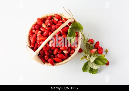 Fraises sauvages dans un panier beige sur fond gris avec des feuilles vertes, nourriture saine et délicieuse Banque D'Images