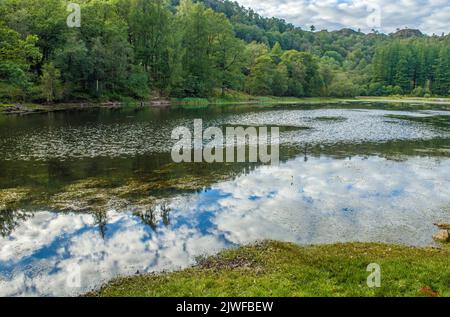 Yew Tree Tarn, un beau lac juste à côté de la route près de Coniston, dans le parc national de Lake District Banque D'Images