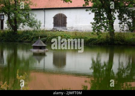 maison de canard sur un lac avec reflet de bâtiment et arbres dans l'eau verte Banque D'Images