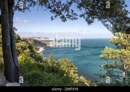 Durlston Bay et Peveril point, Swanage, Dorset, Royaume-Uni Banque D'Images