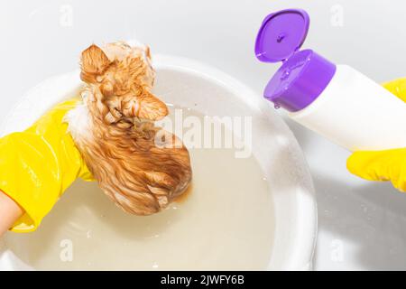 Traitement d'un chat à partir de puces. Femme en gants lavant le chat rouge avec un shampooing anti-puces. Banque D'Images