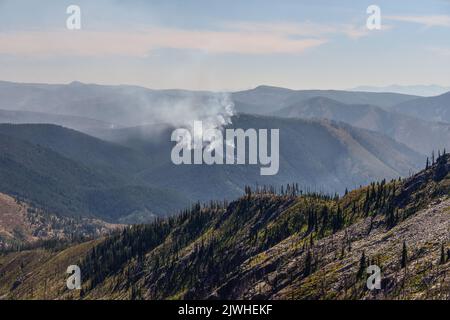 La fumée d'un feu de forêt causé par la foudre s'élève lors d'une journée chaude claire dans la Frank Church River of No Return Wilderness, dans le centre de l'Idaho, aux États-Unis Banque D'Images