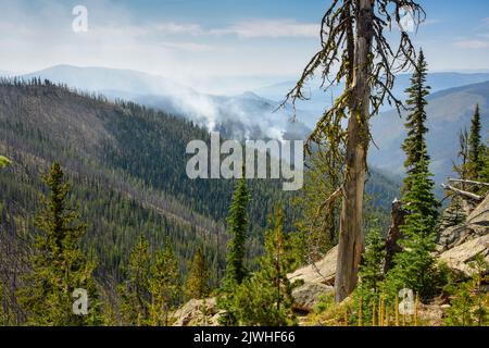 La fumée d'un feu de forêt causé par la foudre s'élève lors d'une journée chaude claire dans la Frank Church River of No Return Wilderness, dans le centre de l'Idaho, aux États-Unis Banque D'Images