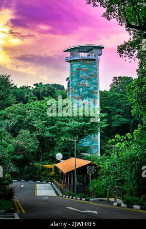 La passerelle Skywalk de fort Siloso, qui s'élève à 11 étages, offre aux clients une randonnée panoramique sur les arbres en route vers fort Siloso. Banque D'Images