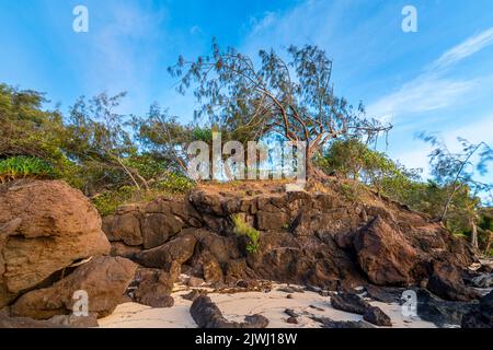 Falaise rocheuse sur la plage de l'île de Nanuya Lai Lai Yasawa, Fidji Banque D'Images