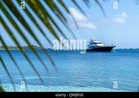 Yacht et croiseurs ancrés au Blue Lagoon au large de l'île de Nanuya, Yasawa Group, Fidji Banque D'Images