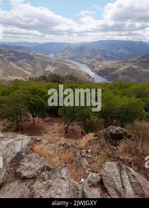 Vue imprenable sur la vallée du Douro et la rivière, Portugal. Banque D'Images