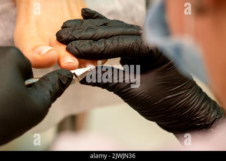 Pédicure professionnelle. Pédicure maître portant des gants en latex coupe les ongles du pied féminin dans le salon de beauté, gros plan Banque D'Images