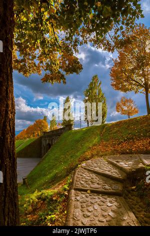 Automne et feuillage à Lucques. Ancien parc des remparts de la ville avec feuilles d'automne Banque D'Images