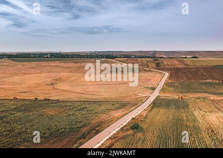 Vue aérienne sur les champs de tournesol terres agricoles patchées champs de blé agricole dans une zone rurale, en Europe Banque D'Images