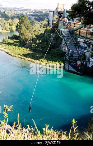 Un saut en sauge relié à un cordon élastique plonge à 47 mètres plus bas dans la rivière Waikato (la plus longue de Nouvelle-Zélande) depuis le nouveau Taupo Cliff Hanger Banque D'Images