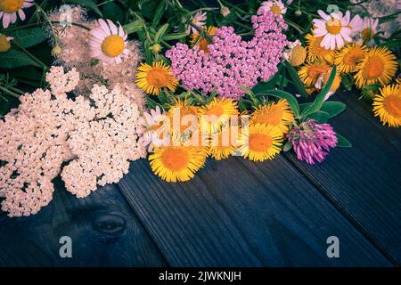 Fleurs sauvages sur fond de grunge en bois. Banque D'Images