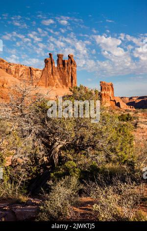 Un genièvre torsadé devant les trois Gossips et Sheep Rock dans le parc national d'Arches, Moab, Utah. Banque D'Images