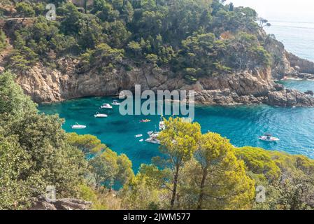 Catalogne en Espagne : le littoral de la costa Brava près de Tossa de Mar Banque D'Images