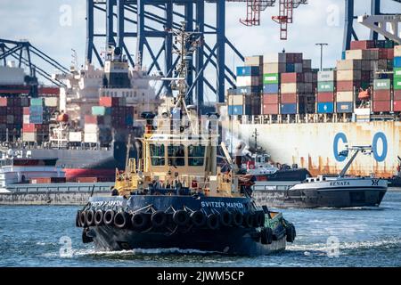 Europoort, port de Rotterdam, Harbour TUG, bowser, devant le terminal de conteneurs Euromax, pays-Bas, Banque D'Images