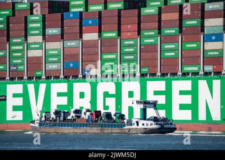 Europoort, Port de Rotterdam, Evergreen Reederei conteneur navire jamais Ace, actuellement le troisième plus grand conteneur cargo dans le monde, avec jusqu'à 24, Banque D'Images