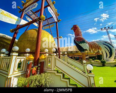 Ai Kai Wat Chedi temple de poulet à Nakhon si Thammarat, Thaïlande Banque D'Images