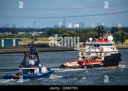 Trafic maritime sur le Maas, hauteur Hoek van Holland, navire de travail Kolga, remorqueur de manutention d'ancrage adapté au remorquage, à l'ancrage et au gémissement sur de longues distances Banque D'Images