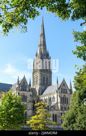 Côté est de la cathédrale de Salisbury, Cathédrale fermée, Salisbury, Wiltshire, Angleterre, Royaume-Uni Banque D'Images