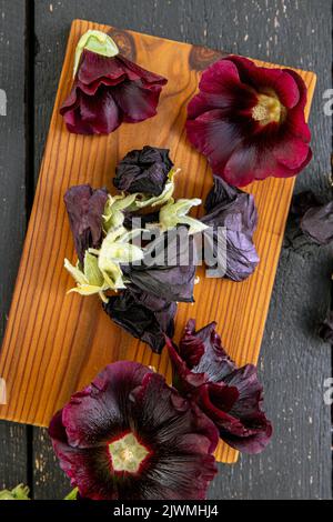 Plante médicinale à base de plantes cueillies Malva sylvestris L, mésanche commune, fromages, mésanche élevée, grande mésanche. Vue de la mise à plat, espace de copie. Fleur fraîche et séchée Banque D'Images