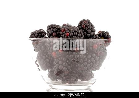 Plusieurs mûres sucrées dans un bol en verre, en gros plan, isolées sur un fond blanc. Banque D'Images