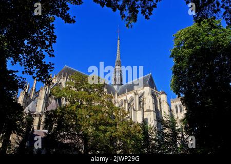 Cathédrale d'Amiens (site classé au patrimoine mondial de l'UNESCO) à Amiens (somme), France Banque D'Images