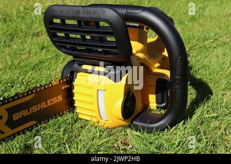 EXETER, DEVON, ANGLETERRE - JUIN 15th 2021 : tronçonneuse sans fil 18 V DeWalt sur la pelouse Banque D'Images