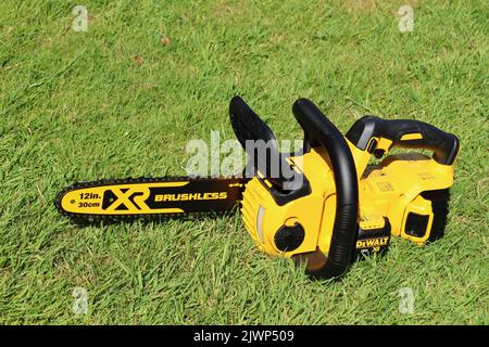 EXETER, DEVON, ANGLETERRE - JUIN 15th 2021 : tronçonneuse sans fil 18 V DeWalt sur la pelouse Banque D'Images