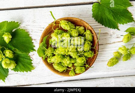 Plante médicinale à base de plantes cueillies Humulus lupulus, le houblon ou le houblon commun. Houblon fleurs dans un bol en bois sur fond de bois blanc, à l'intérieur de la maison. Vue de la mise à plat Banque D'Images