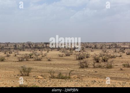 Paysage de l'est de l'Éthiopie près de Jijiga Banque D'Images