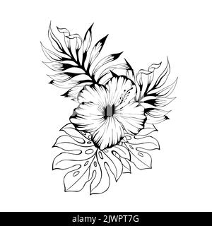 Tropical Hawaii laisse le palmier dans un style aquarelle isolé. fleur sauvage pour l'arrière-plan, la texture, le motif d'emballage, le cadre ou la bordure Banque D'Images