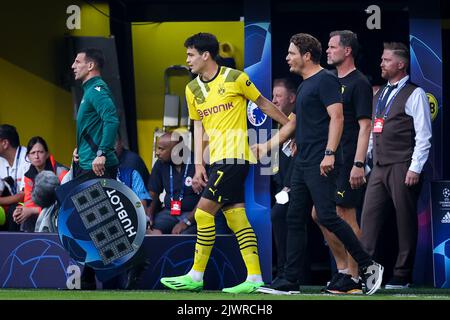 Dortmund, Allemagne. 06th septembre 2022. DORTMUND, ALLEMAGNE - SEPTEMBRE 6 : Giovanni Reyna de Borussia Dortmund lors du match G de la Ligue des champions de l'UEFA entre Borussia Dortmund et le FC Copenhague au signal Iduna Park sur 6 septembre 2022 à Dortmund, Allemagne (photo de Marcel ter Bals/Orange Pictures) Credit: Orange pics BV/Alay Live News Banque D'Images