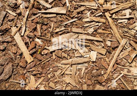 Texture de fond de petits copeaux de bois et d'écorce. Textures et arrière-plans Banque D'Images