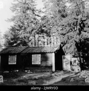Cabane à bétail dans les limites de la ville. Le gîte du bétail de Brorsberg, Norrlandet. Fäbodstuga inom stadens gränser. Brorsbergs fäbodstuga, Norrlandet. Banque D'Images