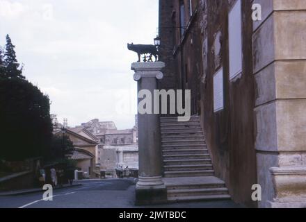 Rome, Italie, 1963. Une vue d'une statue, en tant que réplique du loup de Capitoline. La sculpture en bronze se trouve sur une colonne à l'angle nord du Palazzo Senatorio, situé sur la Piazza del Campidoglio. Banque D'Images
