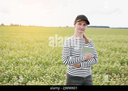 une agronome féminine avec un comprimé vérifie la croissance d'un champ avec des fleurs de sarrasin. la femme examine le champ et saisit les données dans un numérique Banque D'Images