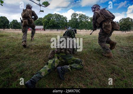 Des Marines américains affectés à Echo Company, Bataillon Landing Team 2/6, 22nd Marine Expeditionary Unit (MEU), et des soldats suédois affectés à Fifth Company, South Scania Regiment P7, ont assaut un bâtiment cible lors d'un exercice de raid près de Kristianstad, Suède, le 28 août 2022. Le Kearsarge Amphiobie Ready Group et 22nd MEU, sous le commandement et le contrôle de Task Force 61/2, sont en cours de déploiement prévu dans la zone d'opérations de la marine américaine Europe, employée par la flotte américaine Sixth pour défendre les intérêts américains, alliés et partenaires. (É.-U. Photo du corps marin par lance Cpl. Cameron Ross) Banque D'Images