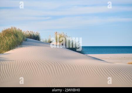 Dune de sable sur la plage danoise. Photo de haute qualité Banque D'Images