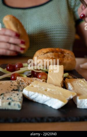 Dégustation de fromages écossais frais cheddar fumé, stilton, fromage bleu, brie à Édimbourg, Royaume-Uni Banque D'Images