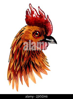 Tête d'oiseau de poule. Dessin à l'encre et aquarelle Banque D'Images