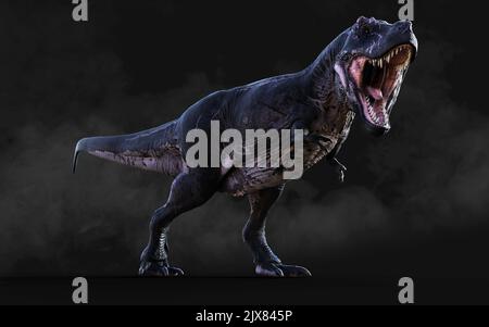 3D Illustration du dangereux Tyrannosaurus Rex actes et poses isolés sur fond noir avec le chemin de coupure Banque D'Images