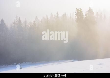 paysage d'hiver avec forêt dans le brouillard. arrière-plan de nature magnifique au lever du soleil Banque D'Images