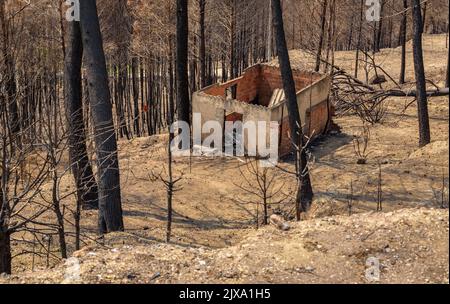 Maisons, jardins et véhicules brûlés après le feu de 2022 Pont de Vilomara (Barcelone, Catalogne, Espagne) ESP: Casas, jardines y vehículos quemados Banque D'Images