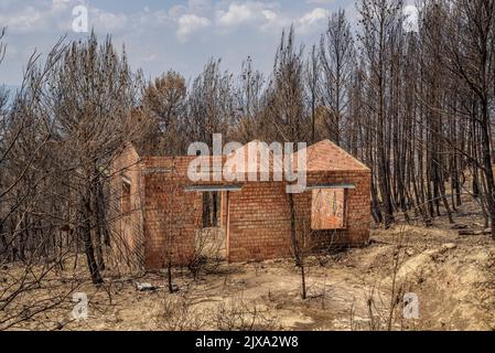 Maisons, jardins et véhicules brûlés après le feu de 2022 Pont de Vilomara (Barcelone, Catalogne, Espagne) ESP: Casas, jardines y vehículos quemados Banque D'Images