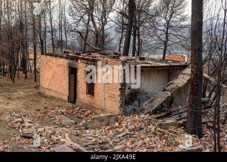 Maisons, jardins et véhicules brûlés après le feu de 2022 Pont de Vilomara (Barcelone, Catalogne, Espagne) ESP: Casas, jardines y vehículos quemados Banque D'Images