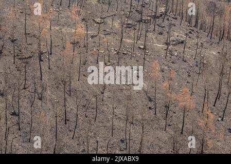 Les bains (dents en catalan) et la vallée de la Flequer après le feu de 2022 Pont de Vilomara dans le Parc naturel de Sant Llorenç del Munt i l'Obac Catalogne Espagne Banque D'Images