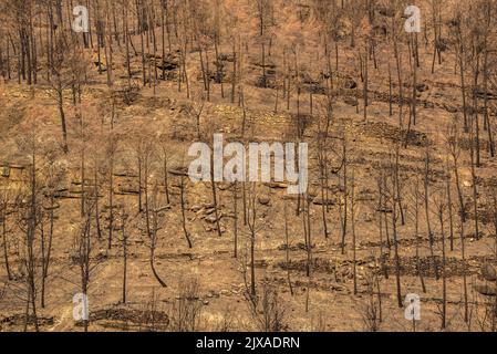 Les bains (dents en catalan) et la vallée de la Flequer après le feu de 2022 Pont de Vilomara dans le Parc naturel de Sant Llorenç del Munt i l'Obac Catalogne Espagne Banque D'Images